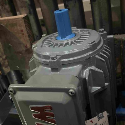 50Hz Single Phase High Speed Electric Motor For Paper Making