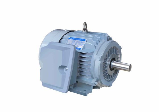 Marine Special Electric Motors Three Phase High Efficient CE IP66