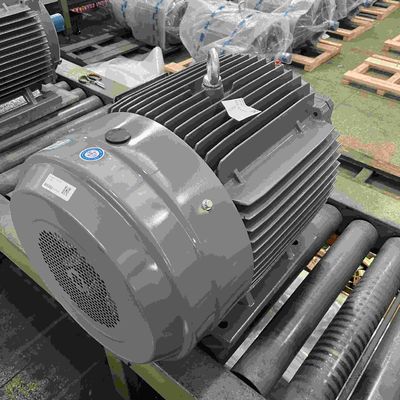 415V AC Induction High Efficiency Electric Motor For Sugar Compressor