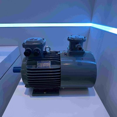 Stainless Steel Three Phase Electric Motors Explosion Proof For Construction